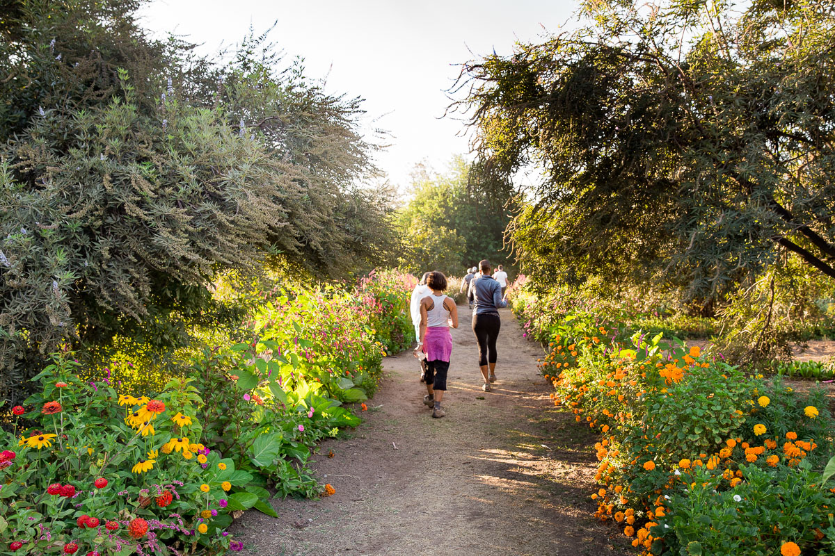 Rancho La Puerta Garden