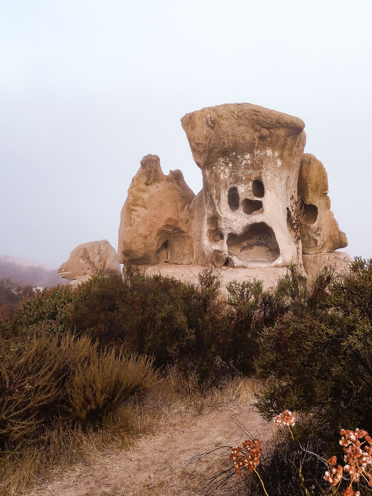 Rancho La Puerta Hike