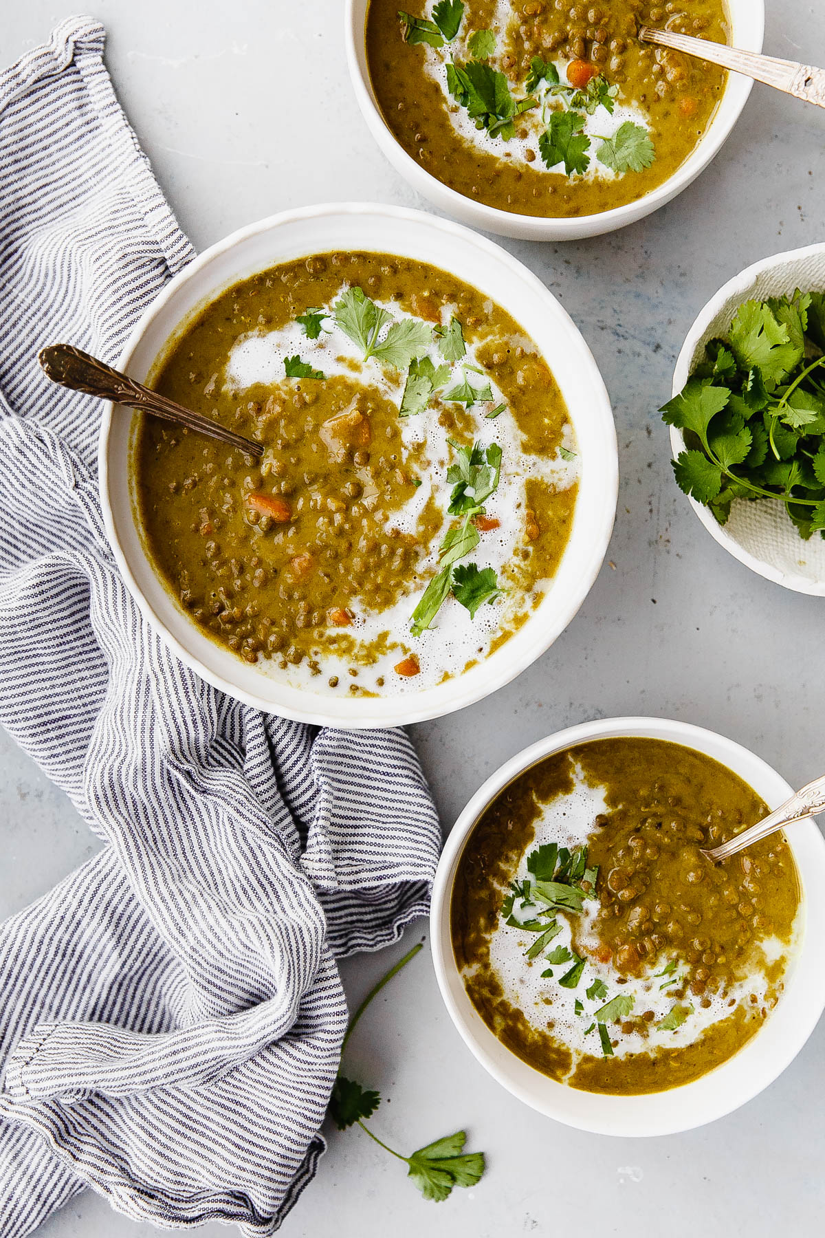 Rudyard Kipling fløjte Countryside Slow Cooker Curried Lentil Soup - A Beautiful Plate