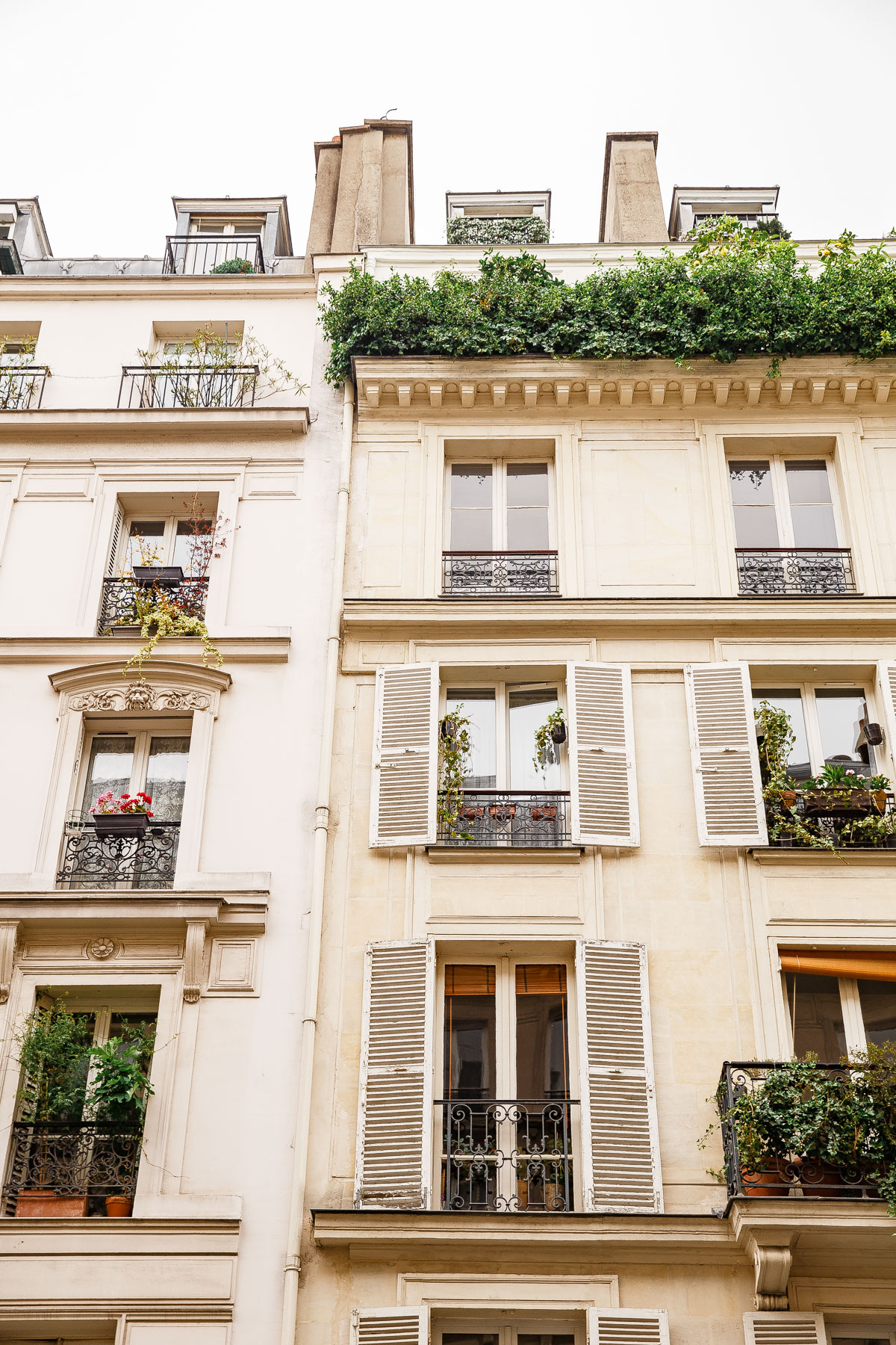 Where to Eat in Paris (Paris Travel Guide) - A Beautiful Plate