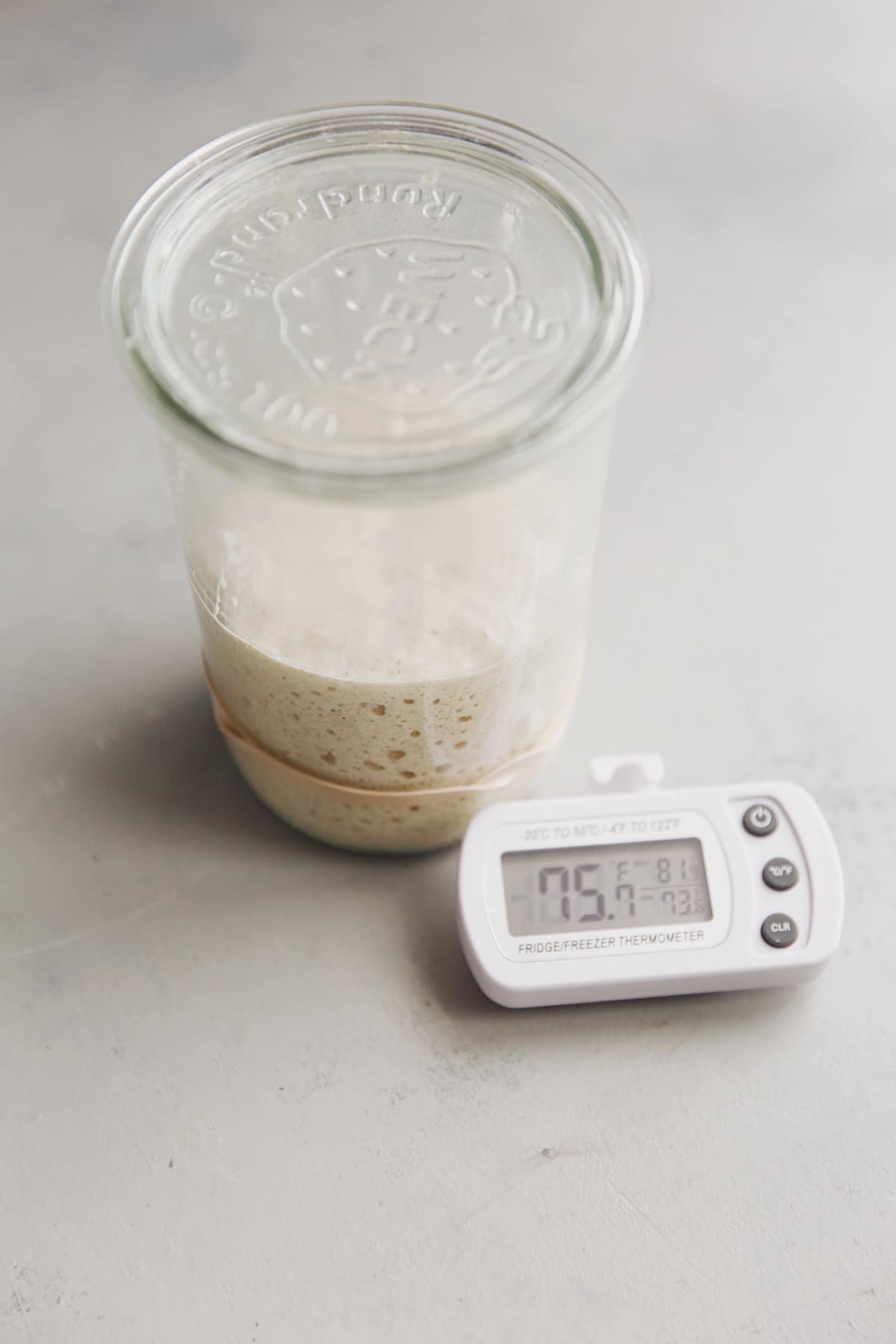 Sourdough Starter with Ambient Thermometer