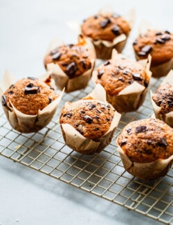 Pumpkin Chocolate Chip Muffins