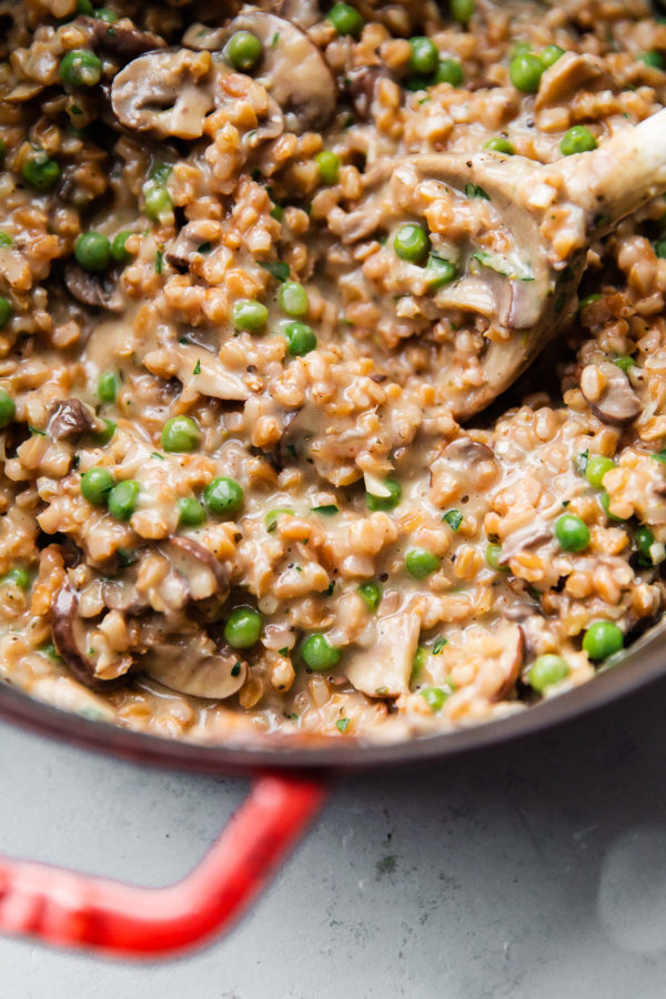 Mushroom Farro Risotto in Pot