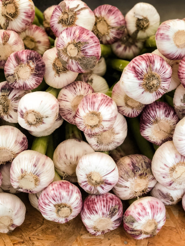 Fresh Garlic at Market