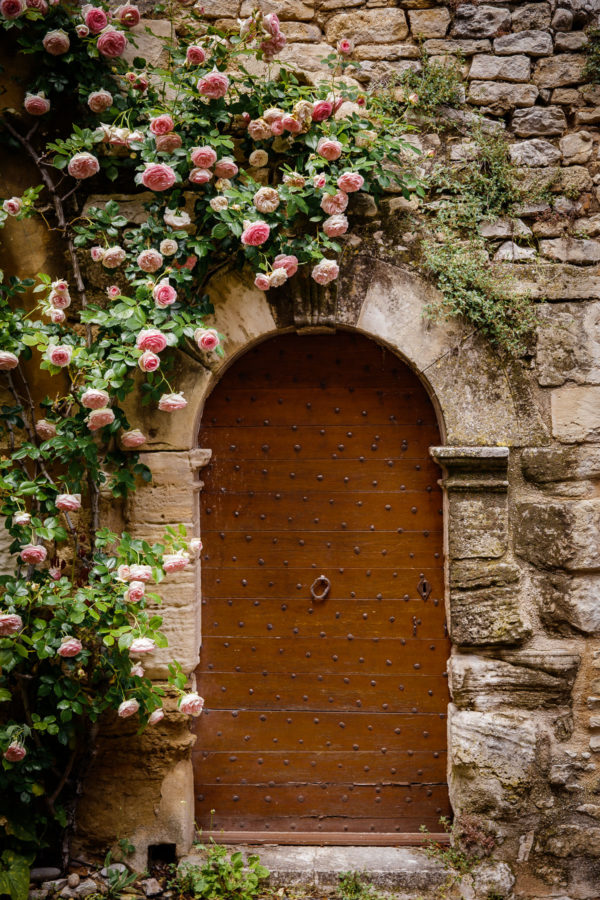 French Door with Roses Growing Around It