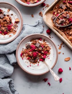 Chocolate Chunk Raspberry Granola