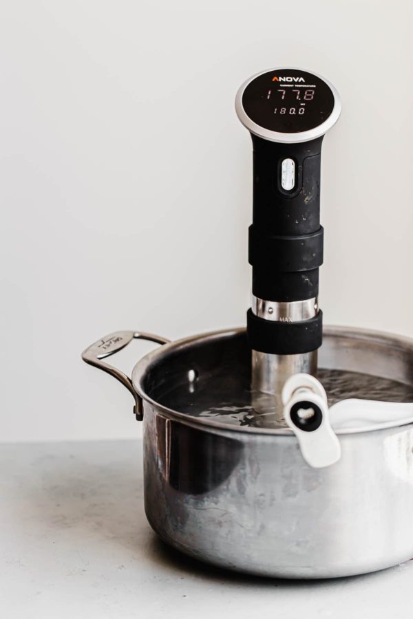 Immersion Circulator in Pot