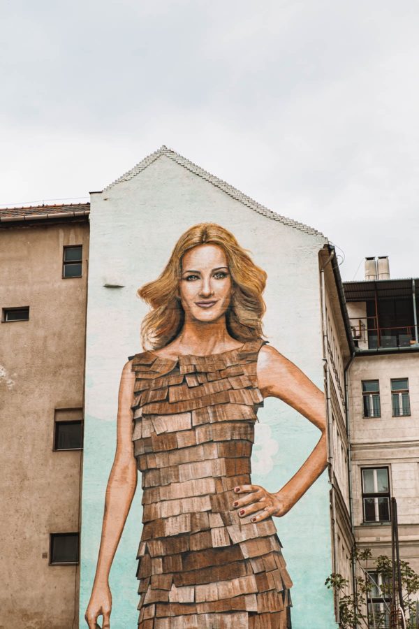 Budapest Wall Mural