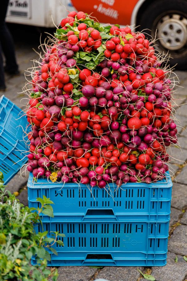 Radishes at Prague Farmers Market