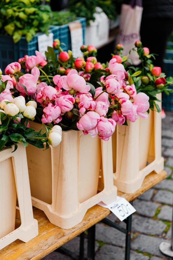 Prague Farmers Market