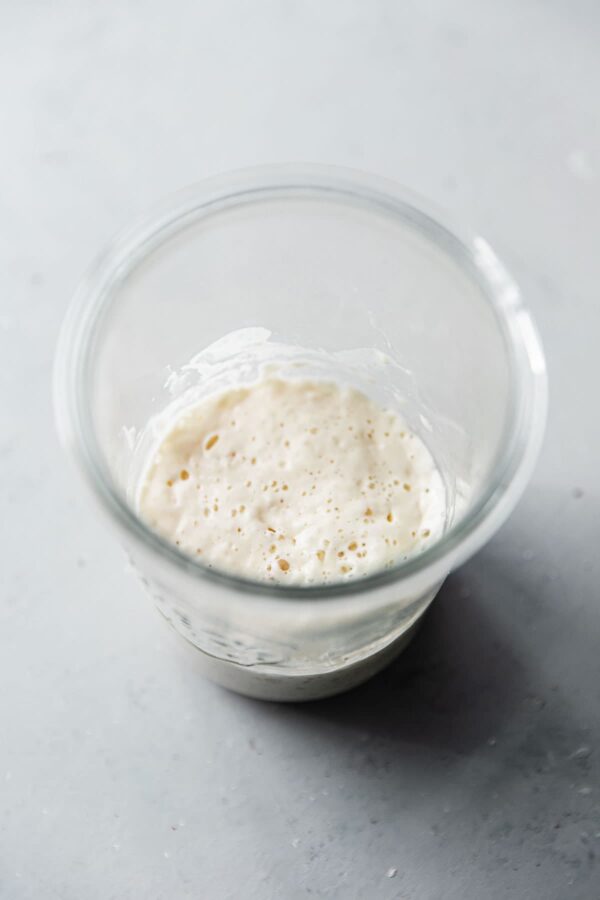 Mature Sourdough Starter