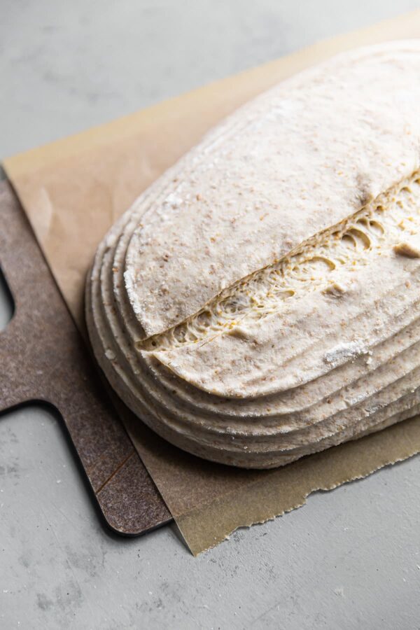 Scored Sourdough Loaf Before Baking on Parchment Paper