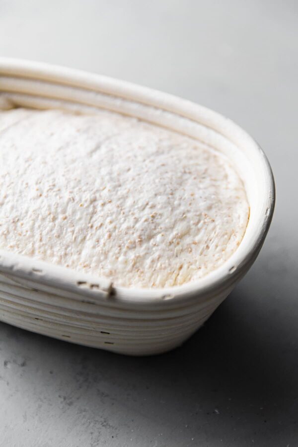 Sourdough Dough in Oval Banneton Basket