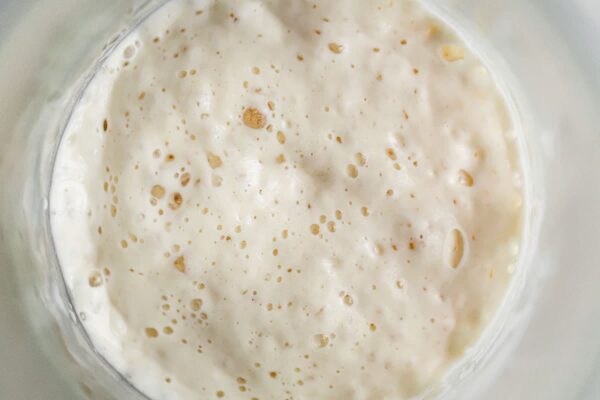 Homemade Sourdough Starter