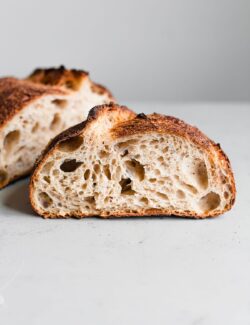 Open Crumb in Artisan Sourdough Loaf