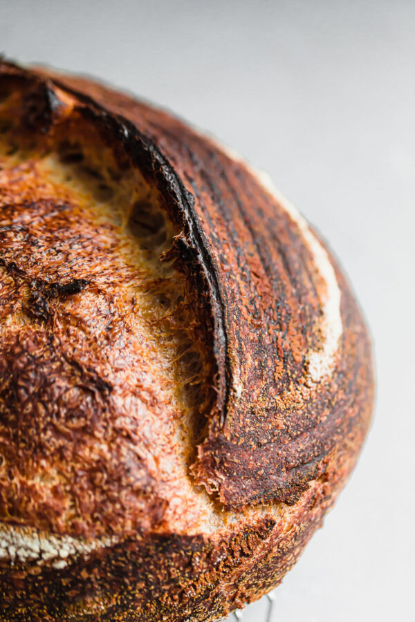 Sourdough Bread Ear