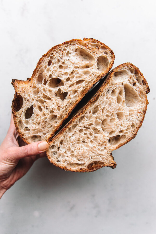 Open Crumb in High Hydration Sourdough Bread