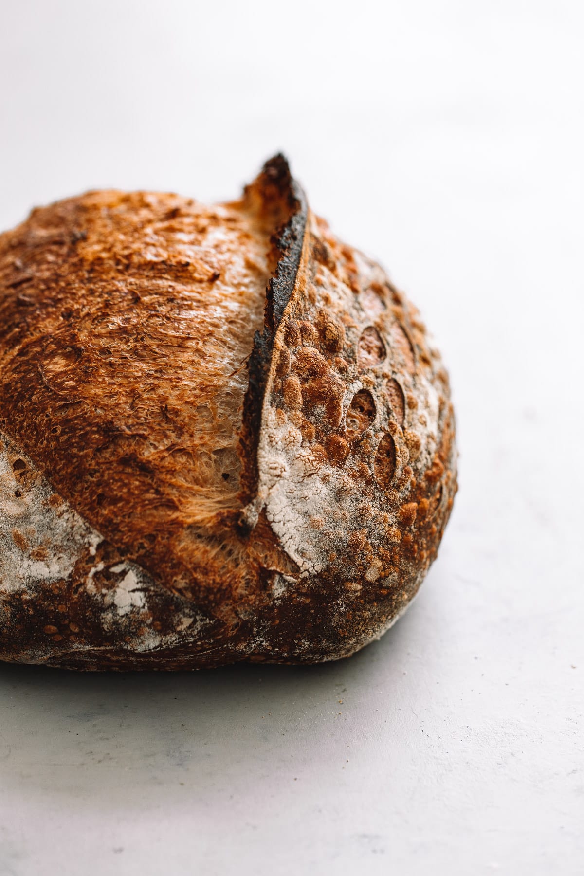 Sourdough Bread Troubleshooting Guide and FAQ A Beautiful Plate