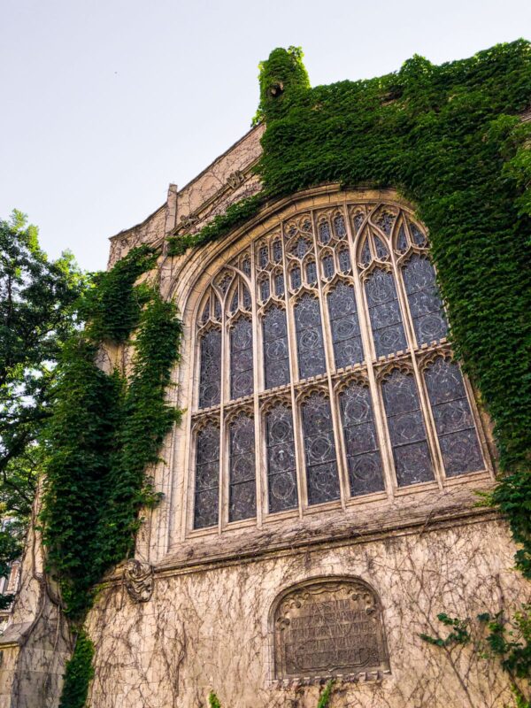 University of Chicago Campus