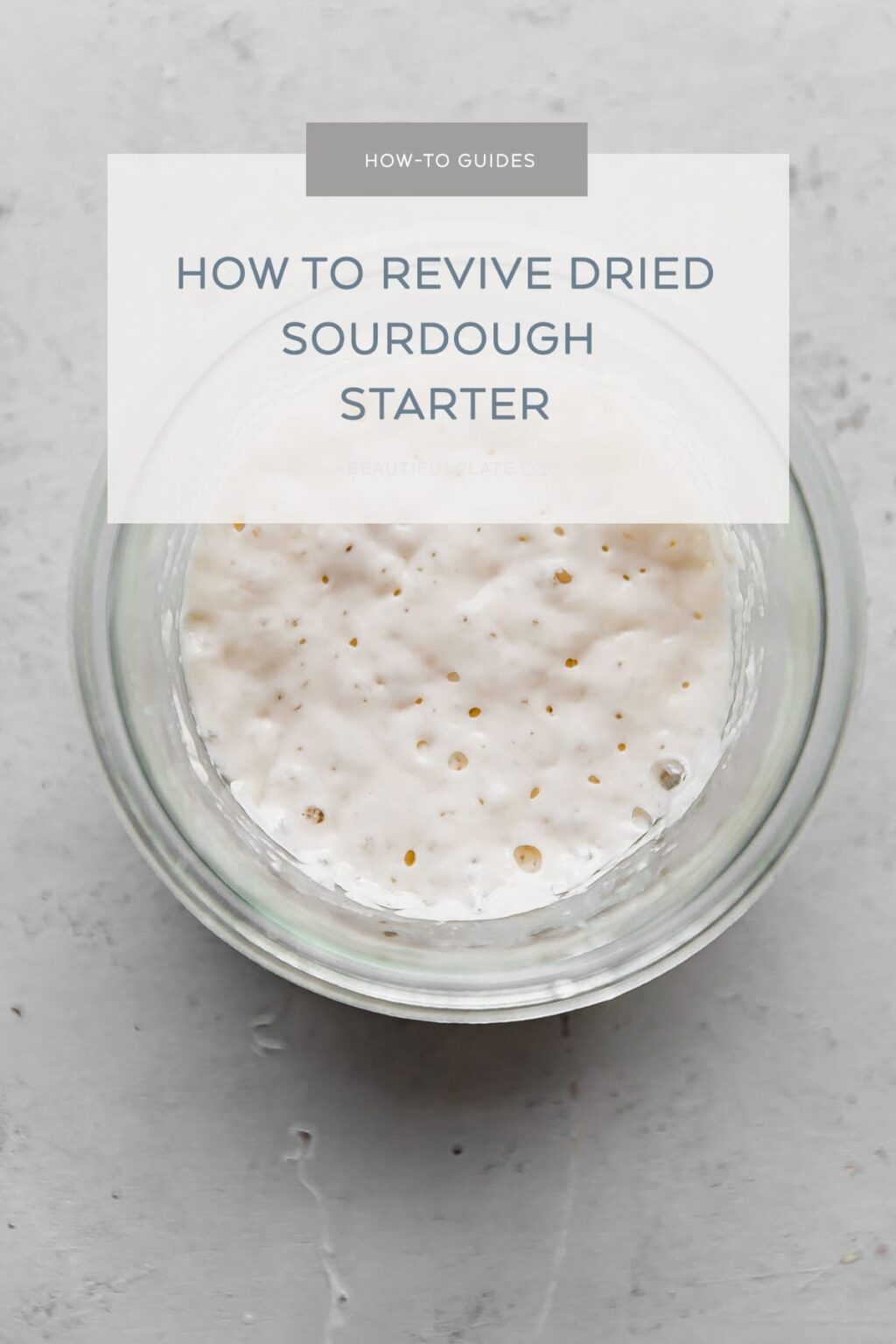 How to Revive Dried Sourdough Starter [Step by Step Guide] A