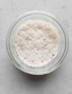 Revived Sourdough Starter in Jar