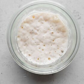 Revived Sourdough Starter in Jar