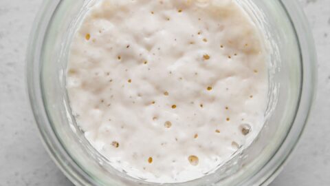 Reviving sourdough starter hotsell