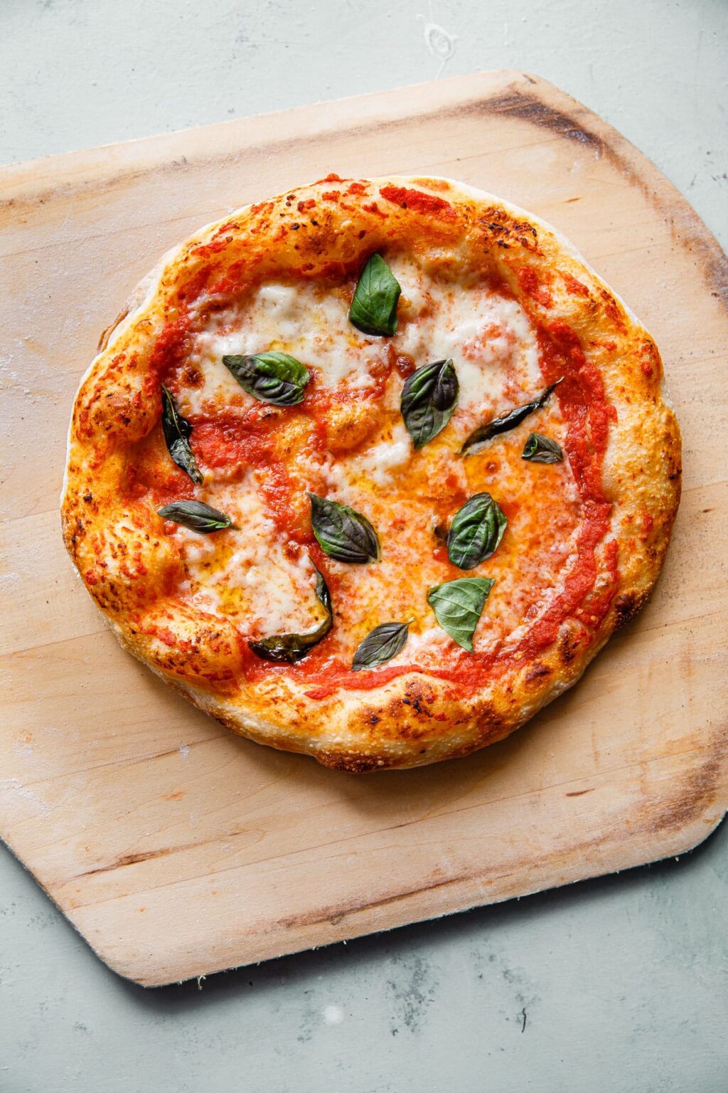 Sourdough pizza dough step by step guide a beautiful plate