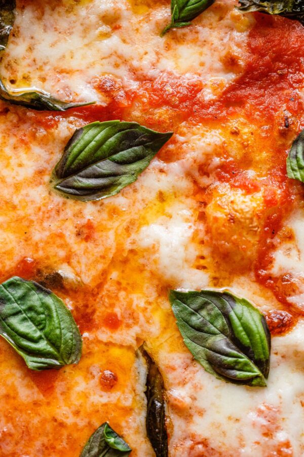 Sourdough Pizza Dough [StepbyStep Guide] A Beautiful Plate