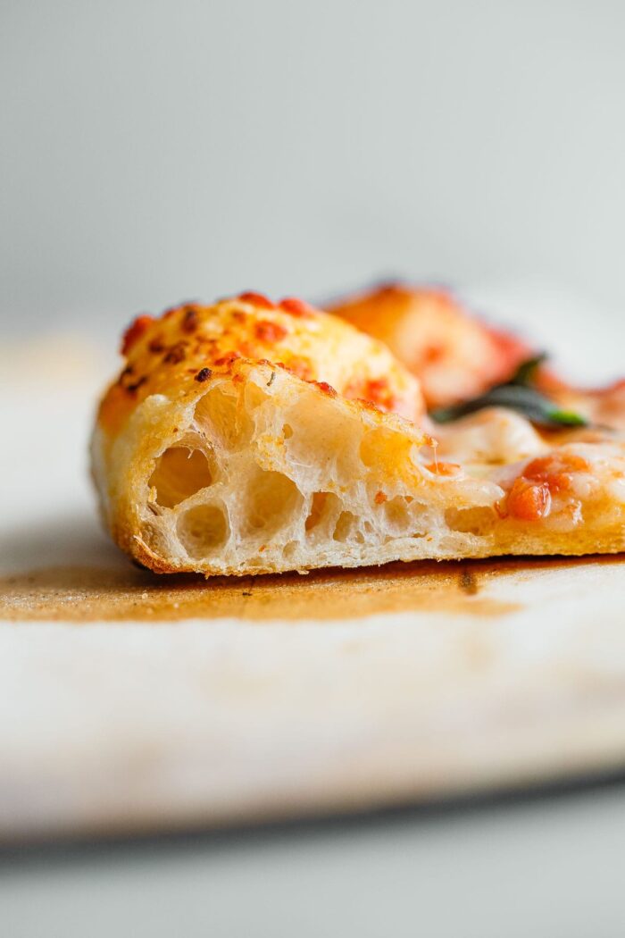 Sourdough Pizza Crust
