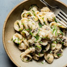 Creamy Mushroom Pasta